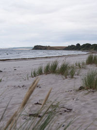 Scenic view of beach against sky