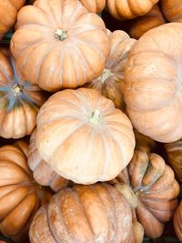 Full frame shot of pumpkins