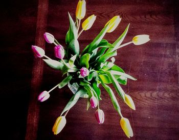 Close-up of flowers