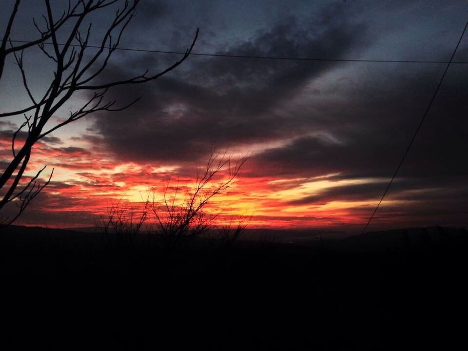 sunset, silhouette, sky, cloud - sky, tranquility, scenics, beauty in nature, tranquil scene, orange color, nature, dramatic sky, cloudy, cloud, bare tree, tree, dark, landscape, idyllic, dusk, moody sky