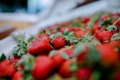 Close-up of strawberries