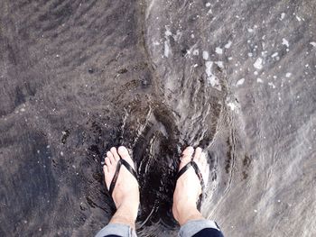 Low section of person standing in water