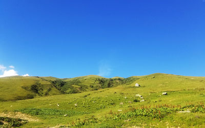 Scenic view of field against blue sky