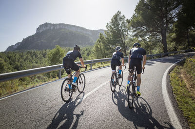 Rear view of friends cycling on street