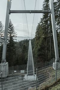 Bridge against sky in forest