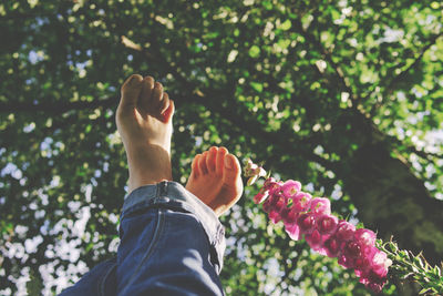 Low section of person by pink flower against trees