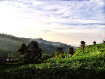 Scenic view of grassy field against cloudy sky