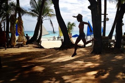 Palm trees on beach