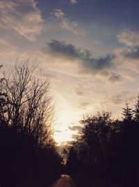 Silhouette trees against sky during sunset