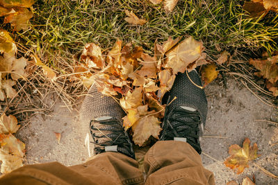 Low section of man with autumn leaves