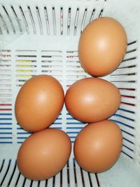 Directly above shot of eggs in container on table