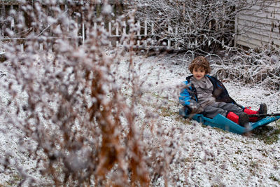 Little boy on a sled in a light snow