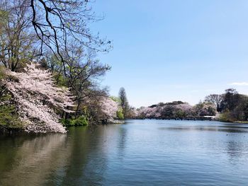 Scenic view of lake against clear sky