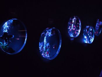 Close-up of bubbles against black background