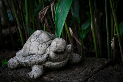 Close-up of statue against plants