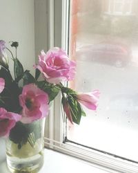 Close-up of pink flowers in vase