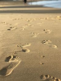 Close-up of footprints on sand