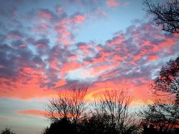 Low angle view of trees against cloudy sky