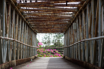 Empty footpath amidst flowering plants