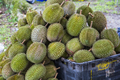 Full frame shot of fruits at market stall