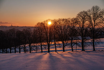 Bare trees on field against sky during sunset