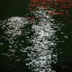 High angle view of swimming in lake