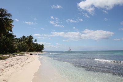 Scenic view of beach against sky