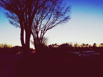 Bare trees against sky at sunset