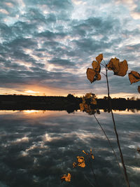 Scenic view of lake against sky during sunset
