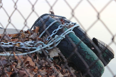 Close-up of fishing net on chainlink fence