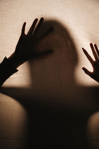 Close-up of silhouette hand on shadow