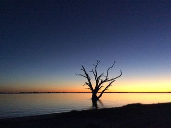 Silhouette bare tree by sea against clear sky