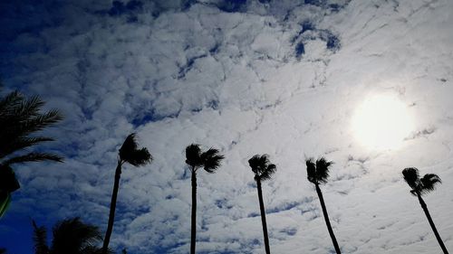 Low angle view of silhouette trees against sky