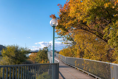 Street by trees against sky during autumn