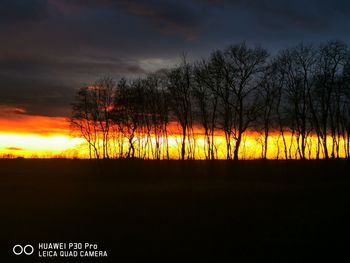 Silhouette bare trees on field against sky during sunset