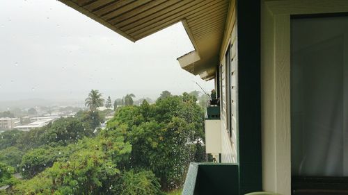 Building with trees in background