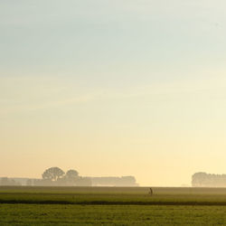 Scenic view of field against sky during foggy weather