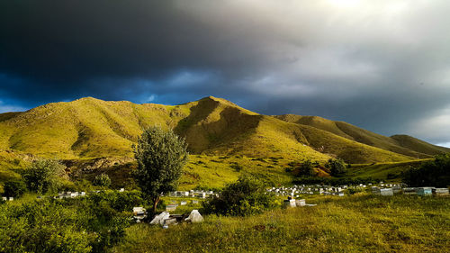 Scenic view of field against sky