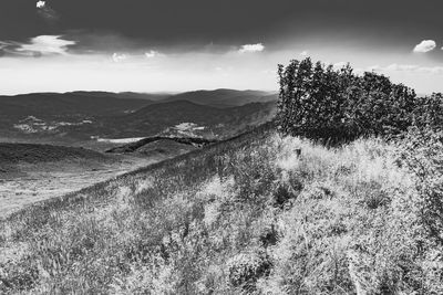 Scenic view of land against sky