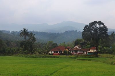 Scenic view of agricultural field by mountains against sky