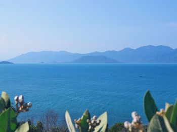 Scenic view of sea against blue sky