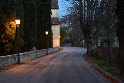 Empty road along trees at night