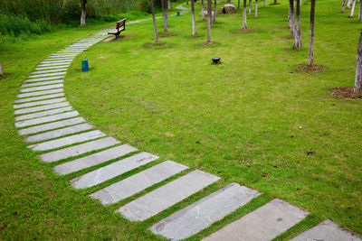 High angle view of footpath in park