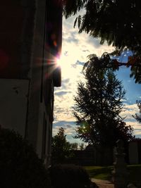 Silhouette tree by building against sky during sunset