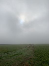 Scenic view of field against sky