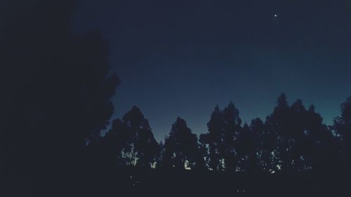 Low angle view of silhouette trees against sky at night