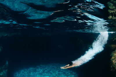 High angle view of swimming in sea