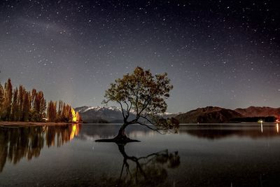Tree growing amidst lake by snowcapped mountains against starry sky