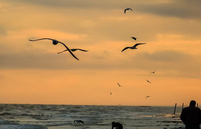 Birds flying over sea against cloudy sky during sunset
