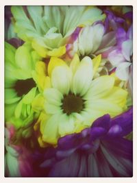 Full frame shot of white flowers